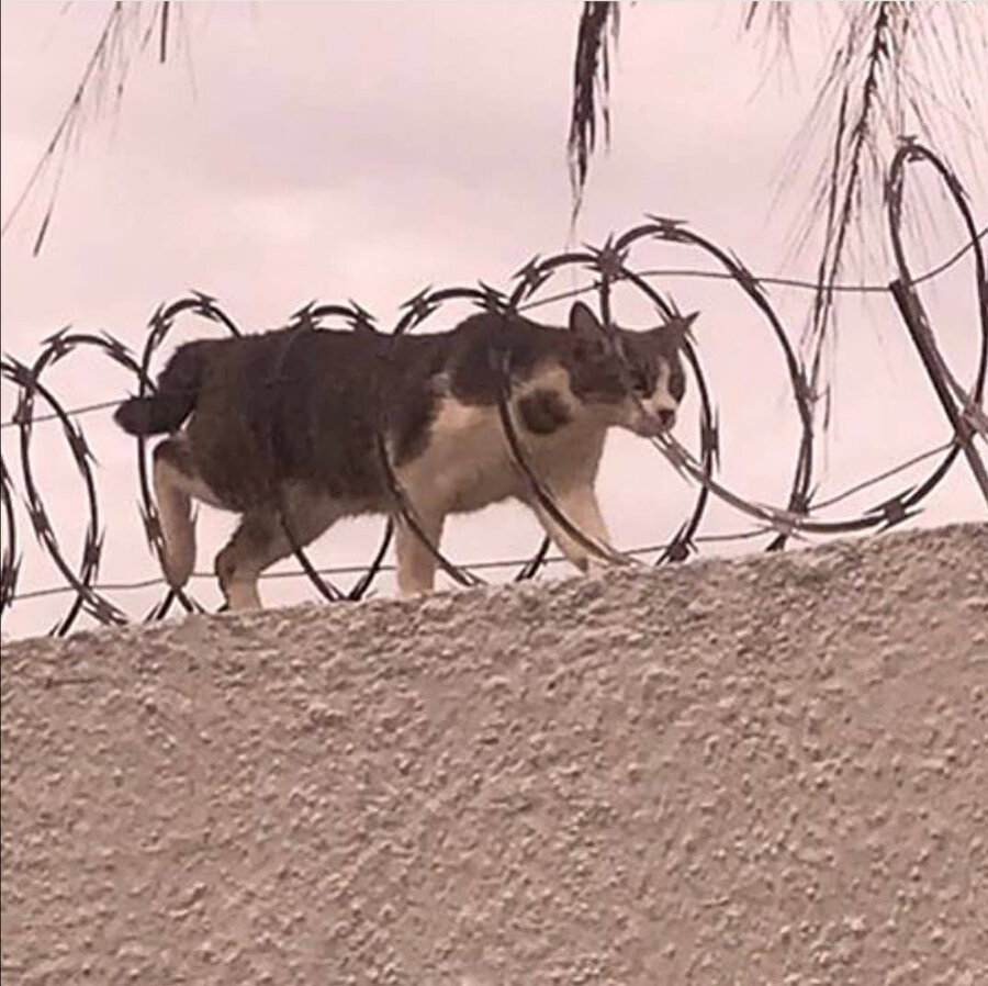 ​İnsanlara dokunmadan toplu taşıma araçlarında seyahat etmeye çalışıyorum