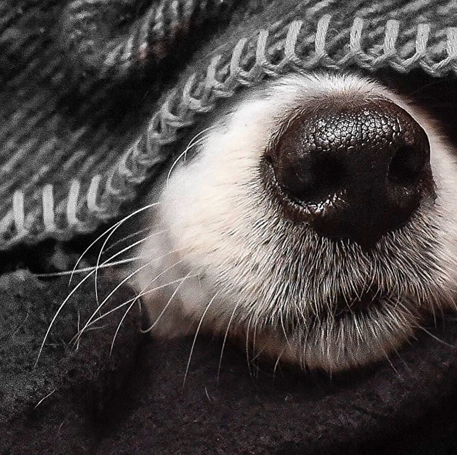 Hafta sonu evde neler yapabiliriz? 🔎