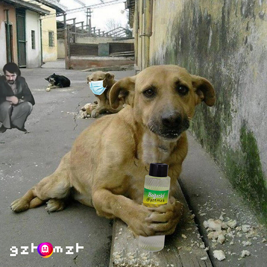 ​Kolonya servisimiz başlamıştır buyurun