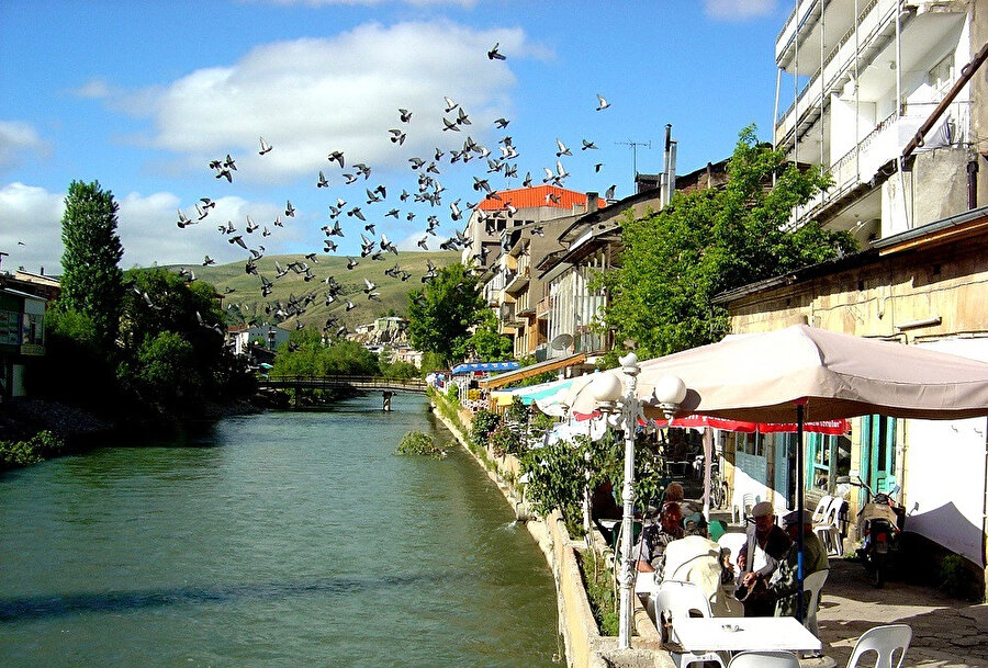 Çoruh Nehri