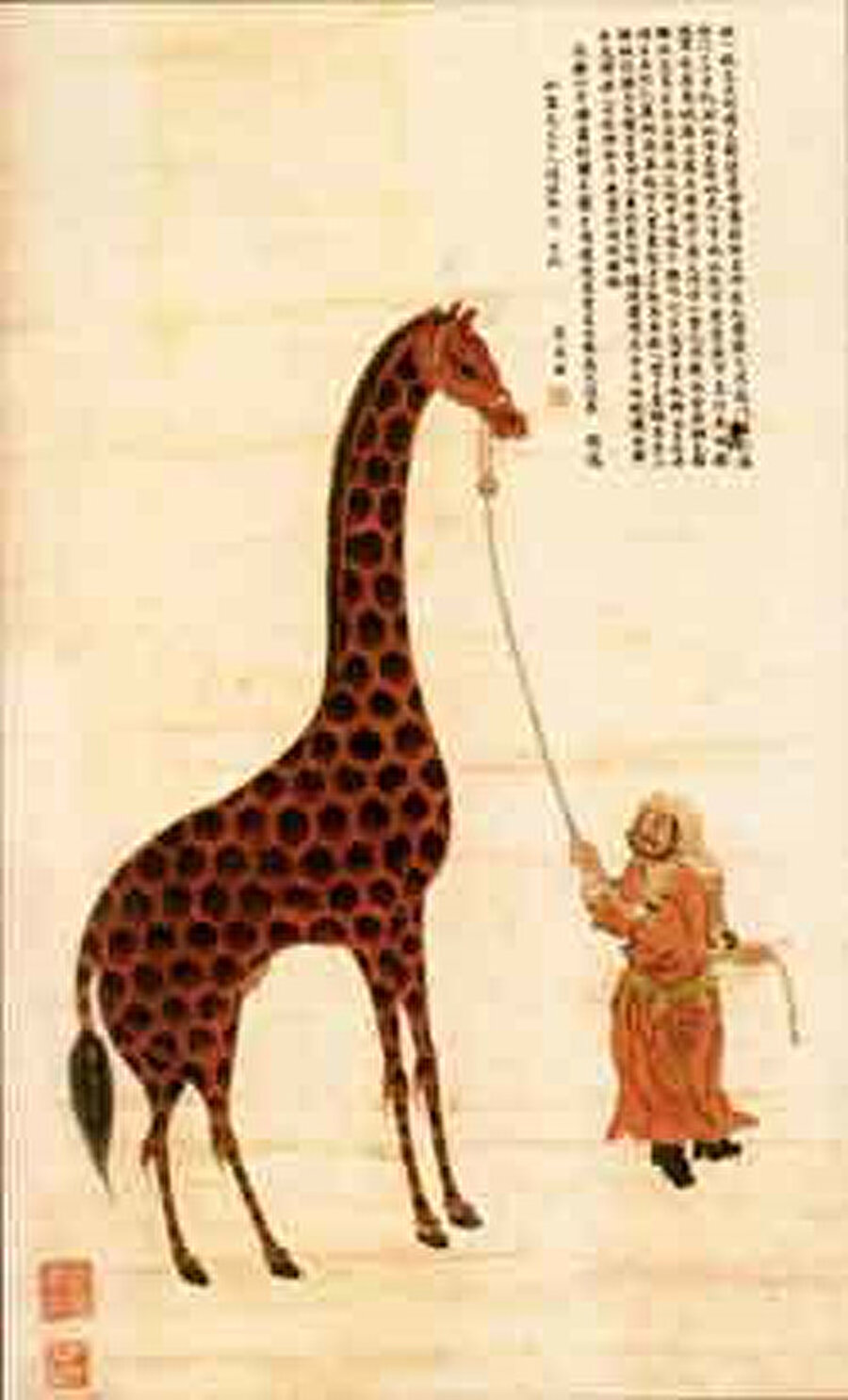 Zheng He, yedinci seferinde mekke’yi ziyareti sonrası yanında zürafalar, aslanlar, deve kuşları gibi sıra dışı pek çok şeyle dönmüştü.