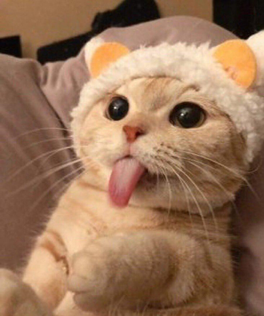 ​Birtakım şımarıklıklar yapıyoruz