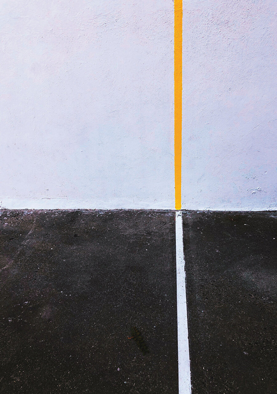 Biçim, başlı başına sınır demektir; bu sınır aynı zamanda varolanların sınırlılığıyla uyum içinde olmak demektir.