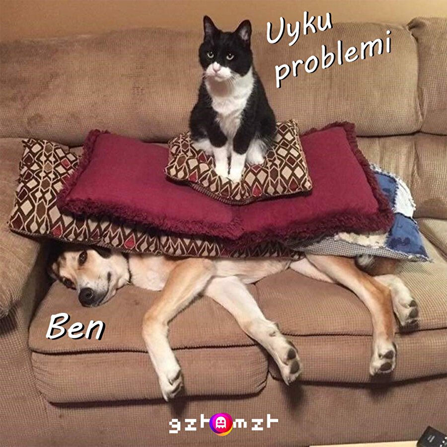 Akşam yatmaz sabah kalkmaz olduk iyi mi...