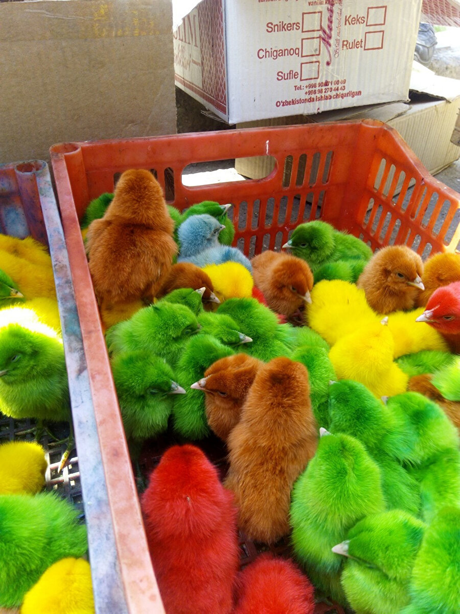 Sizi sevmeye çok ihtiyacım var