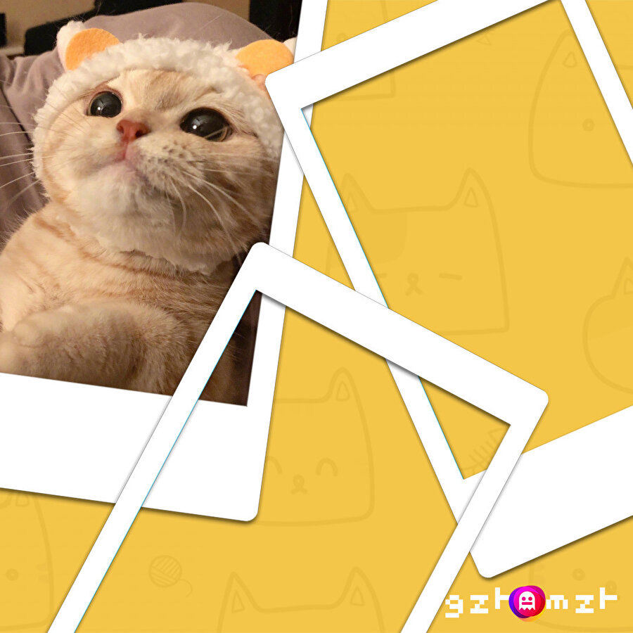 Bu neyin tatlılığı böyle açıklar mısın bize?