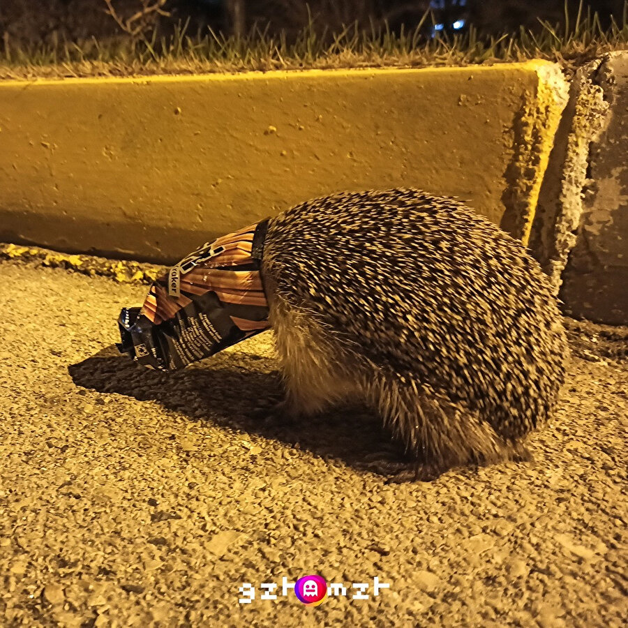Çinliler görmesin bunu