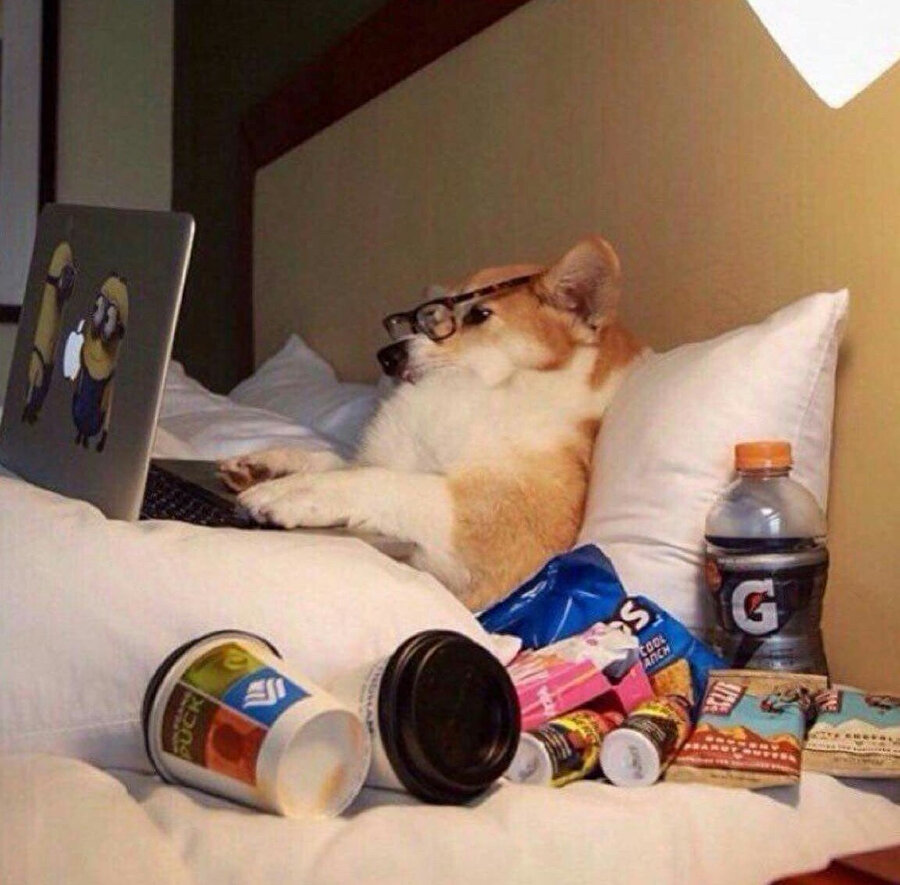 Bir günüm nasıl geçiyor? Buyurun cevabı: