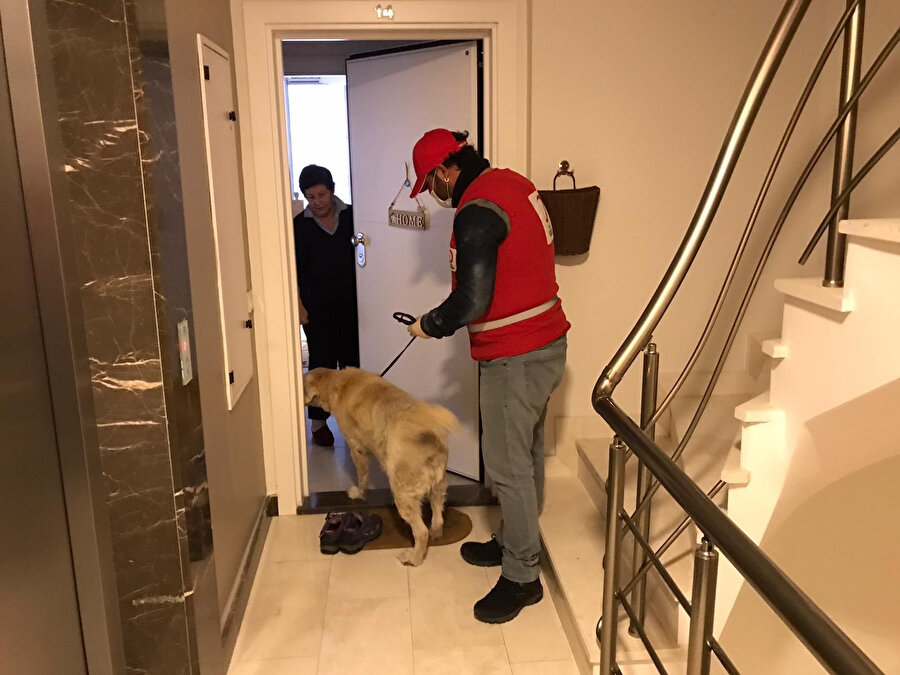 Genç Kızılay üyeleri, sosyal izolasyon döneminde bir köpeği yürüyüşe çıkardı