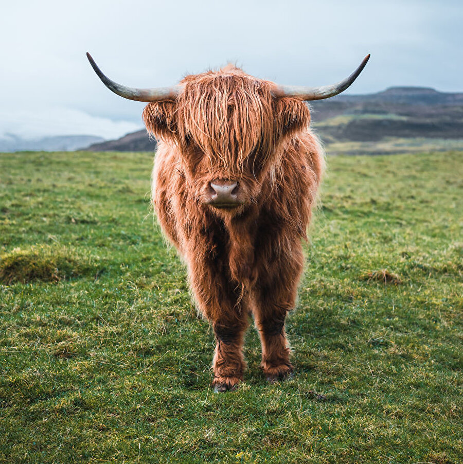 Kuaförler açılmazsa