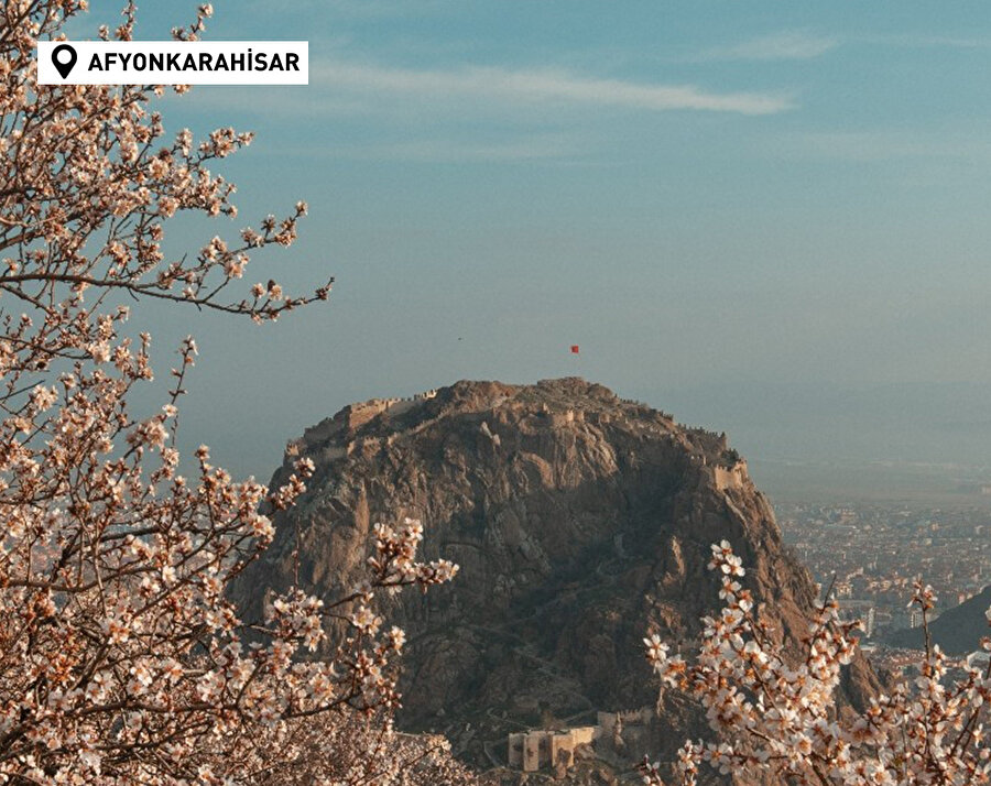 Türkiye'de havaların ısınmasıyla birlikte ağaçlar çiçek açtı 🌼