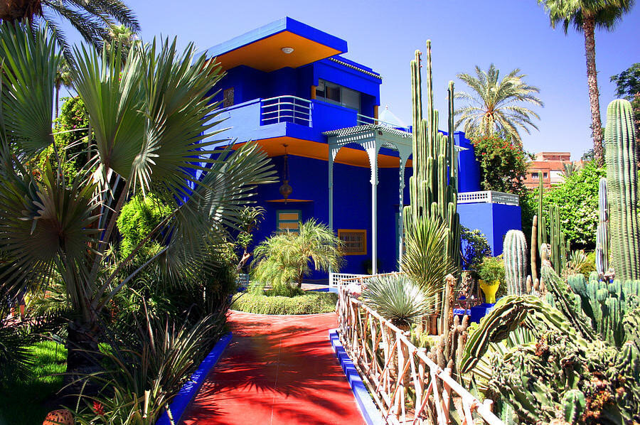 Fransız ressam Majorelle’nin adını taşıyan “Jardin Mojorelle” bahçesi.