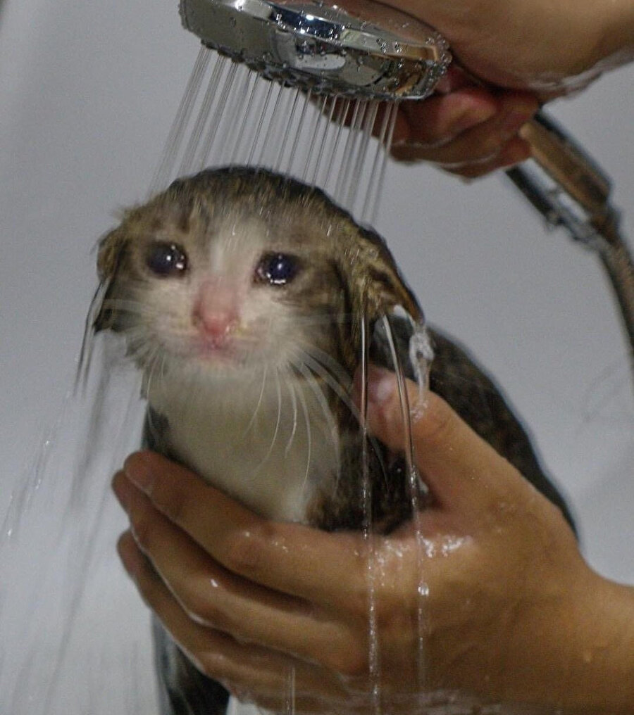 Marketten geldim dezenfekte oluyorum