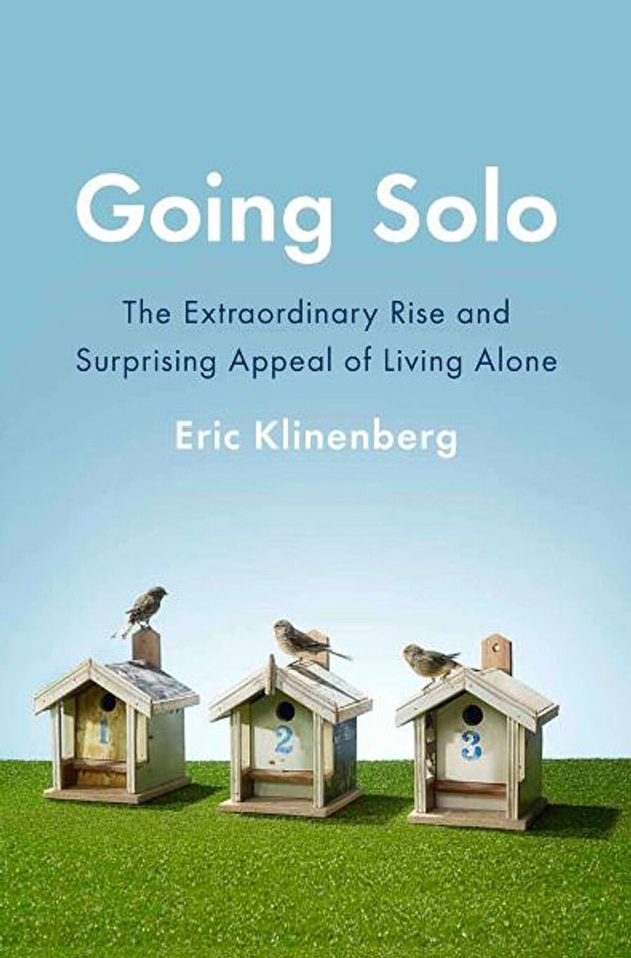Klinenberg’e göre bugün dünden farklı olarak solo yaşamın bu kadar artış göstermesinin sebebi insanların yalnız yaşamanın beraberinde getireceği ekonomik yükleri karşılayabiliyor olmasıdır.