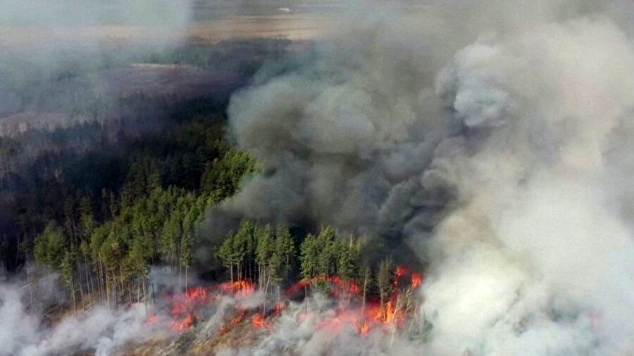 Yangında 3 bin 500 hektarlık alan yandı