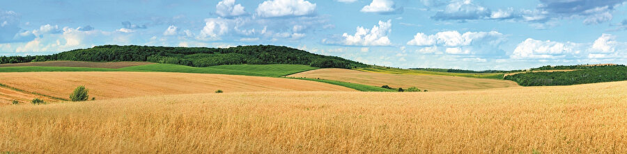 El yıkamayı yeniden öğrendiğimiz gibi acaba toprağa dair tüm üretim süreçlerini yeniden öğrenmemiz gerekecek mi?