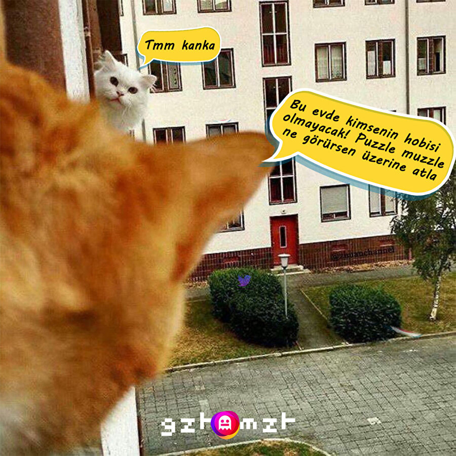 Tatlı olduğunuz kadar en güzel anların katilisiniz de 😾