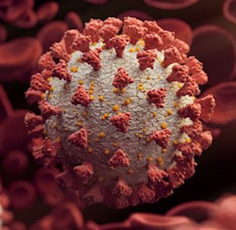 Instagram kurucularının bu yeni projesi, koronavirüs salgınının yayılımını izlemek için başarılı bir çözüm olabilir.