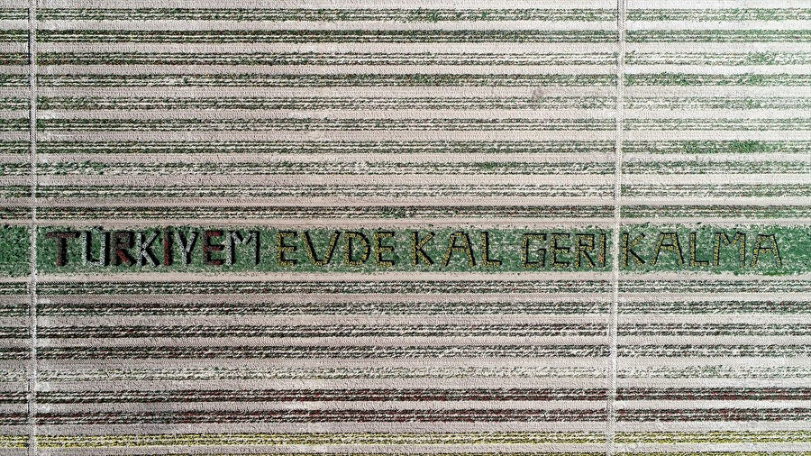 Lale tarlasında 'Evde kal' mesajı