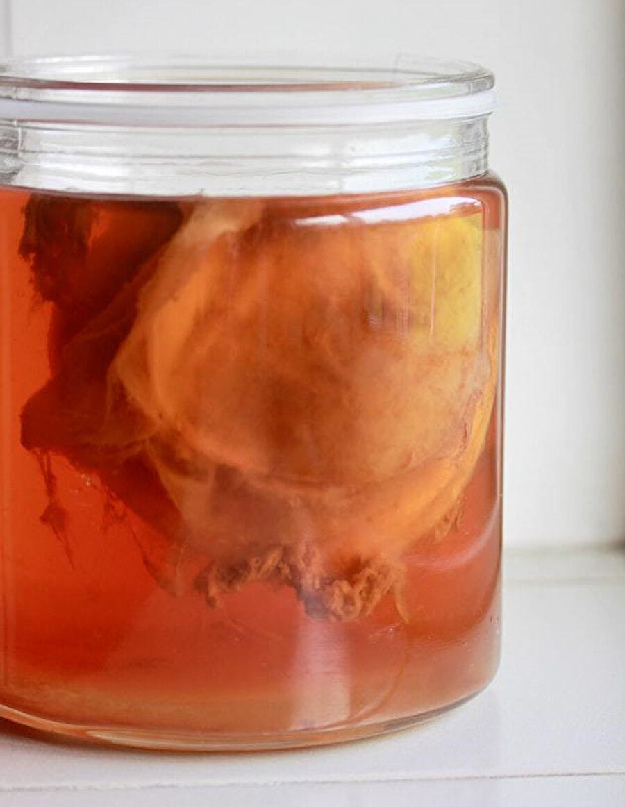 Bakteri ve mayalardan oluşan çayın önemli içeriği Kombucha denilen çay mantarıdır. 
