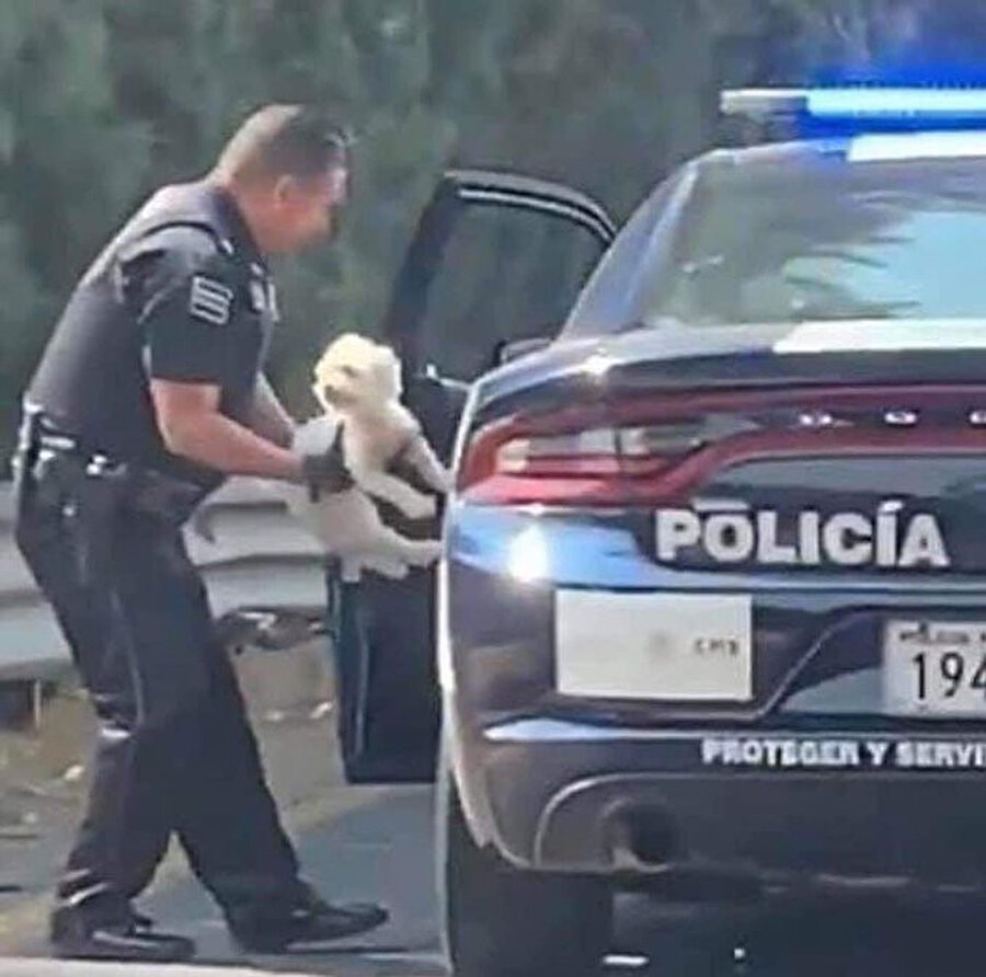 Tür: Dram IMDb: 9/10