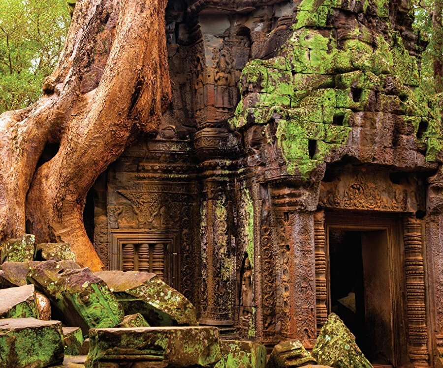 Ta Prohm, Angkor kasabasında bulunan eski bir tapınaktır. Eskiden “Kralın Manastırı” anlamına gelen Rajavihara olarak biliniyordu.