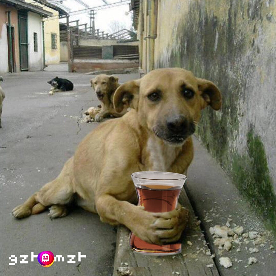 Çaylar demlendi. Sahura kadar modumuz budur