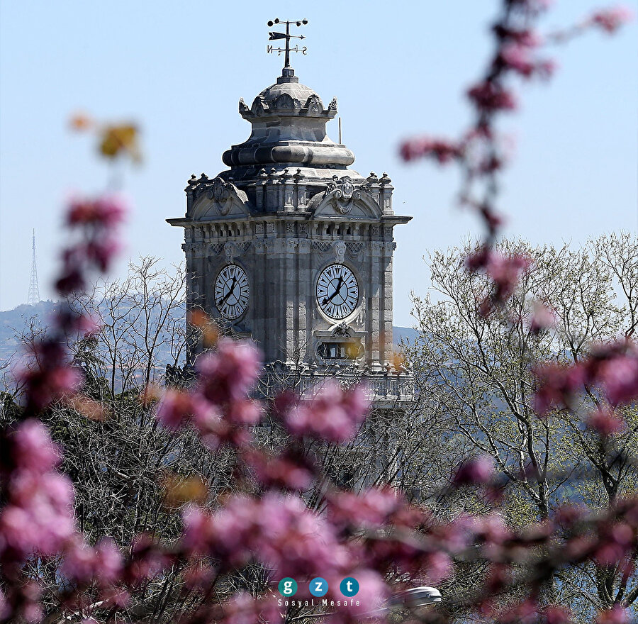 İstanbul Boğazı'na güzellik katan erguvanlar 🌸​