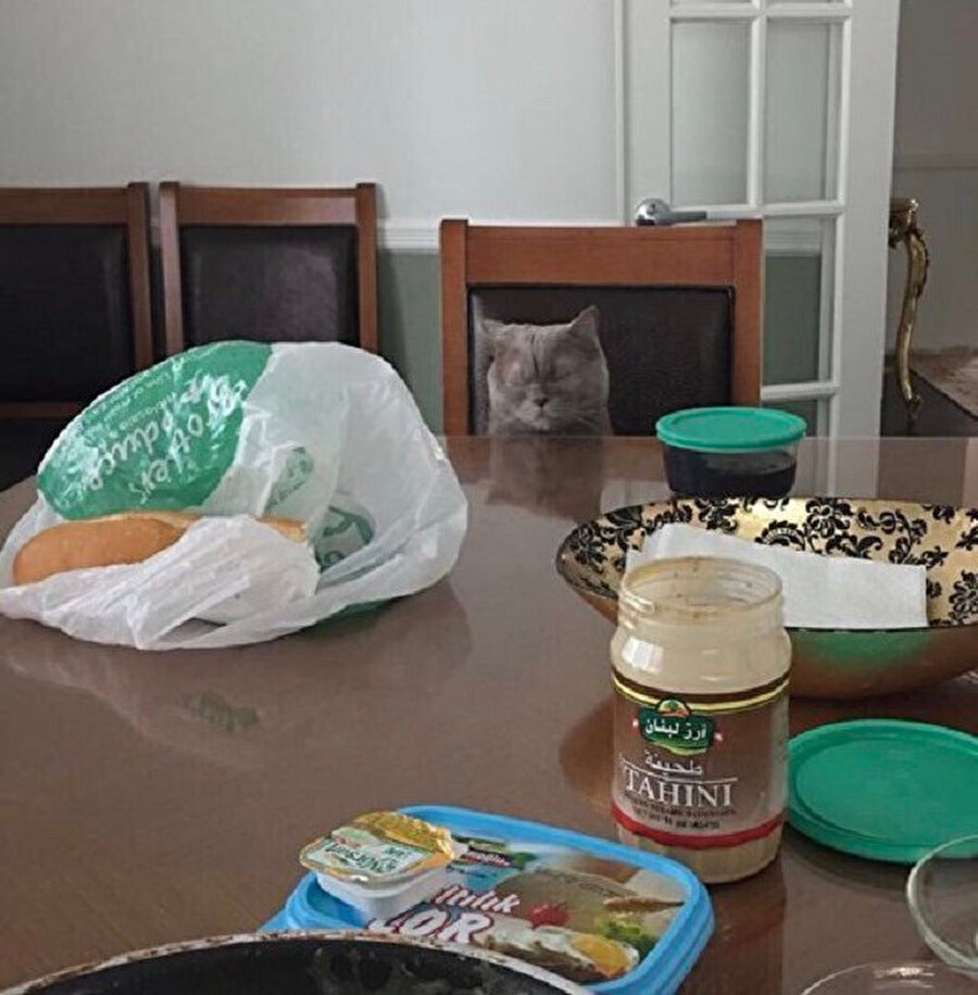 Sahura kalktık mı?