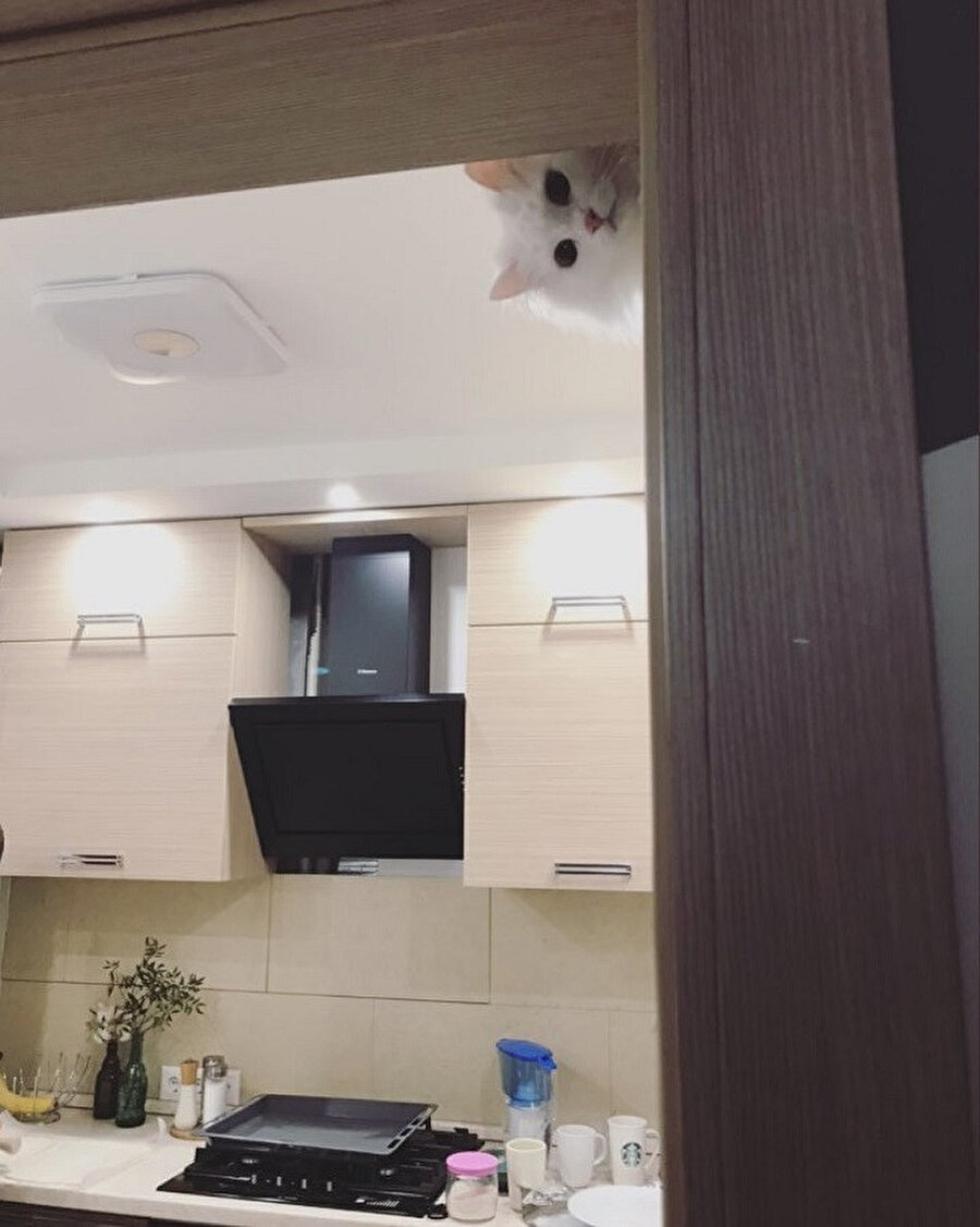 &quot;​Ee bu akşam ne var yemekte?&quot;