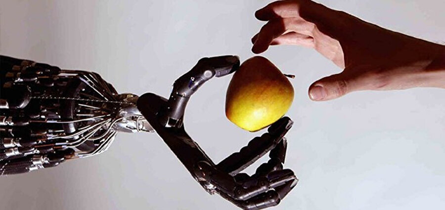 Yapay Zekâ Evrensel Beyannamesi mümkün mü?