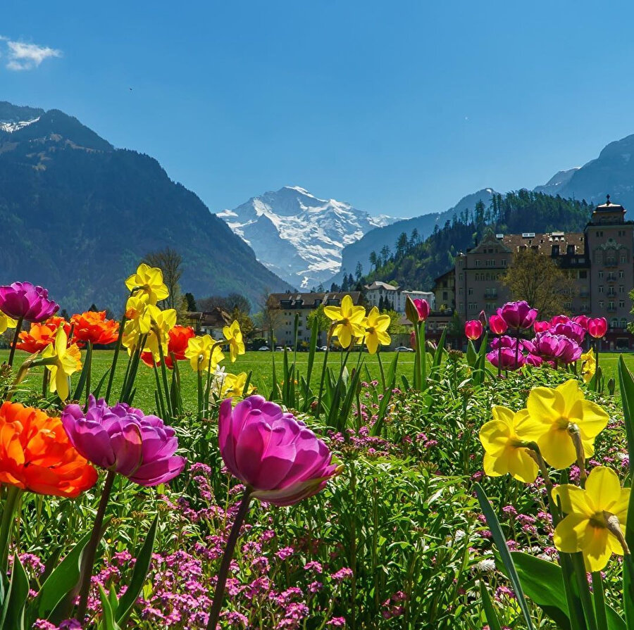 Her şeyi uzaktan izleyenlerin ülkesi: İsviçre 🏔