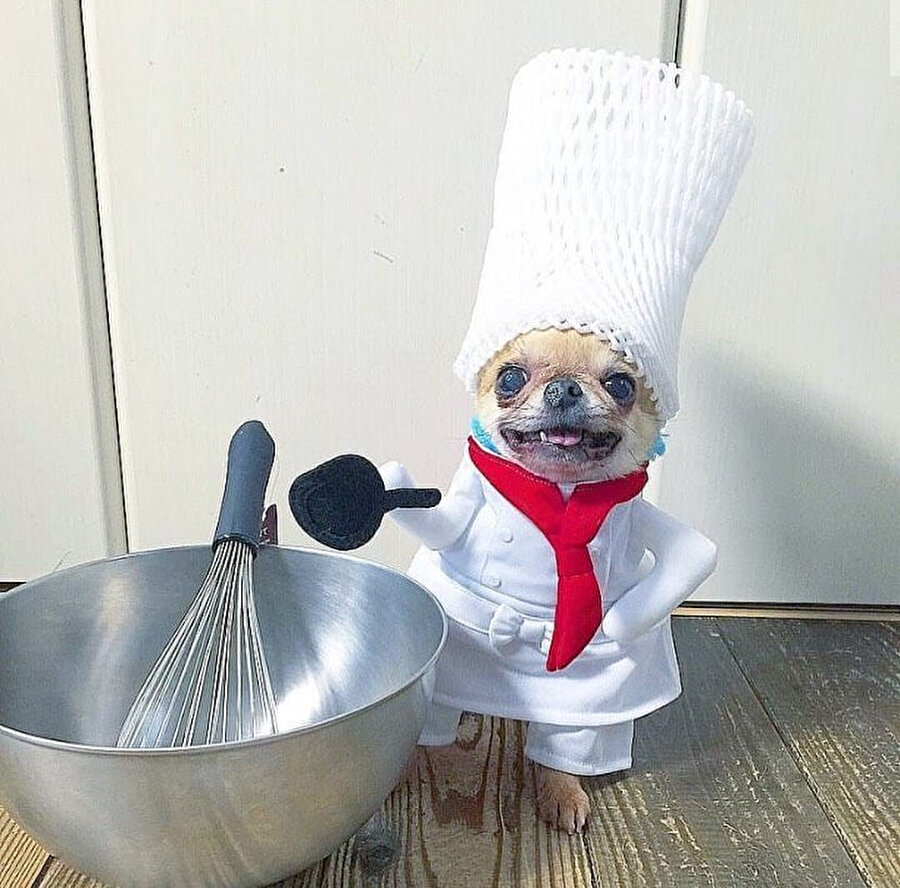 Evvet yemekler hazır! Oğlum koş pide al sen de