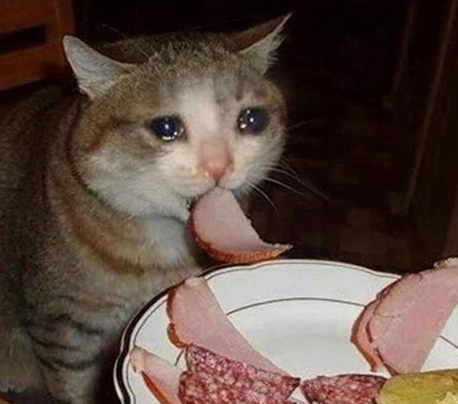 Uykumun en tatlı yerinde sahura kalkmışımdır