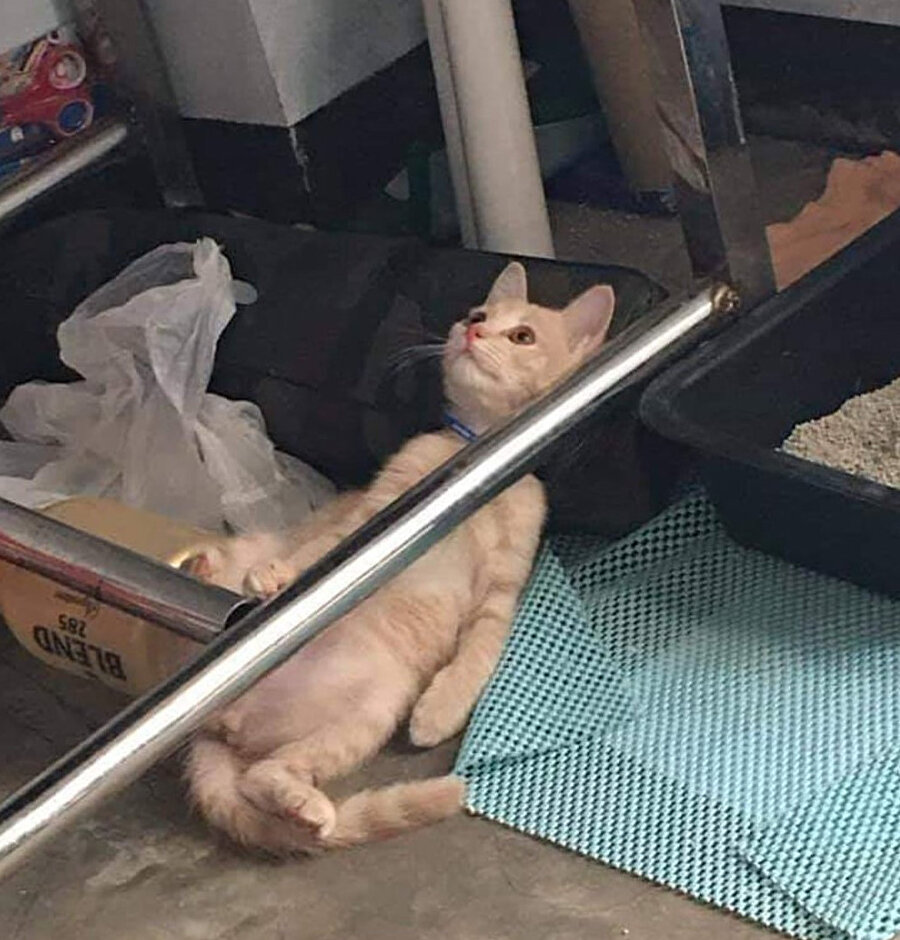 İftara kaç dakika kaldığını hesaplıyorum