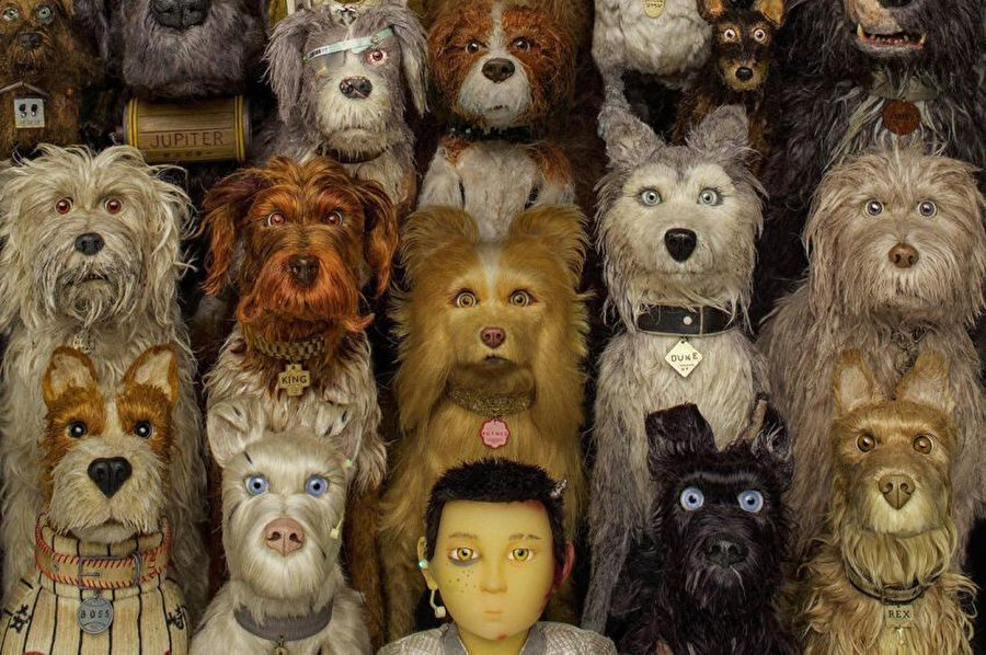 2014 yılında Büyük Budapeşte Oteli (The Grand Budapest Hotel) ile seyirciyle buluşan Anderson’ın yeni filmi Köpek Adası’nın (Isle of Dogs) stop motion animasyon olması dahi merak uyandırmaya yetmişti. 