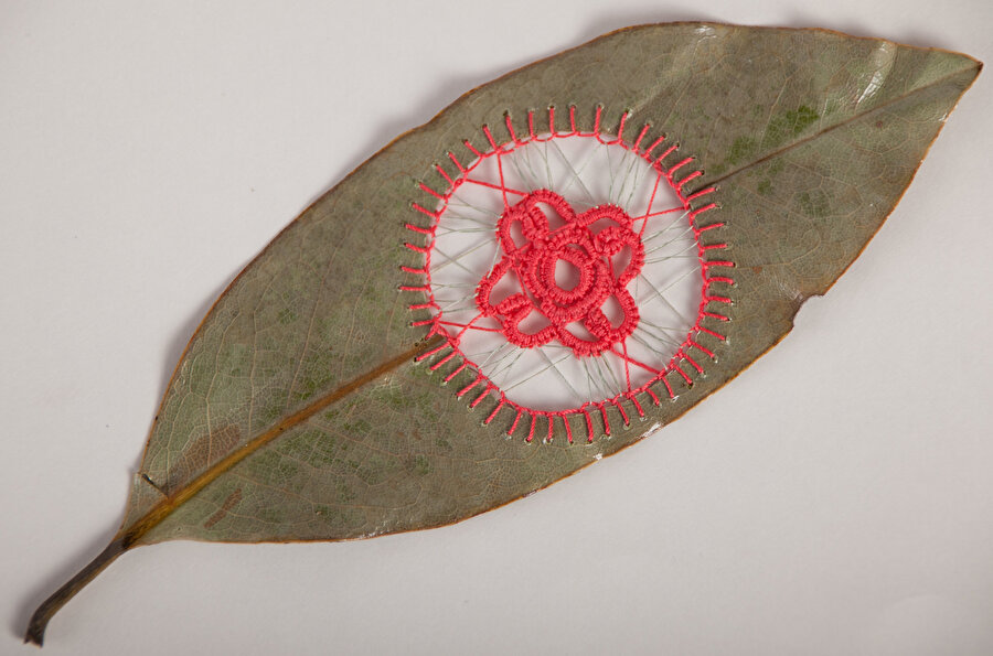 Bir yaprak seçerken, onun ilginç bir özelliğe sahip olmasını ama kesmek, dikmek gibi süreçlere dayanacak kadar sağlam ve beni zorlayacak kadar narin olmasını istiyorum. Genellikle taze yapraklarla çalışırım, ama her zaman değil.