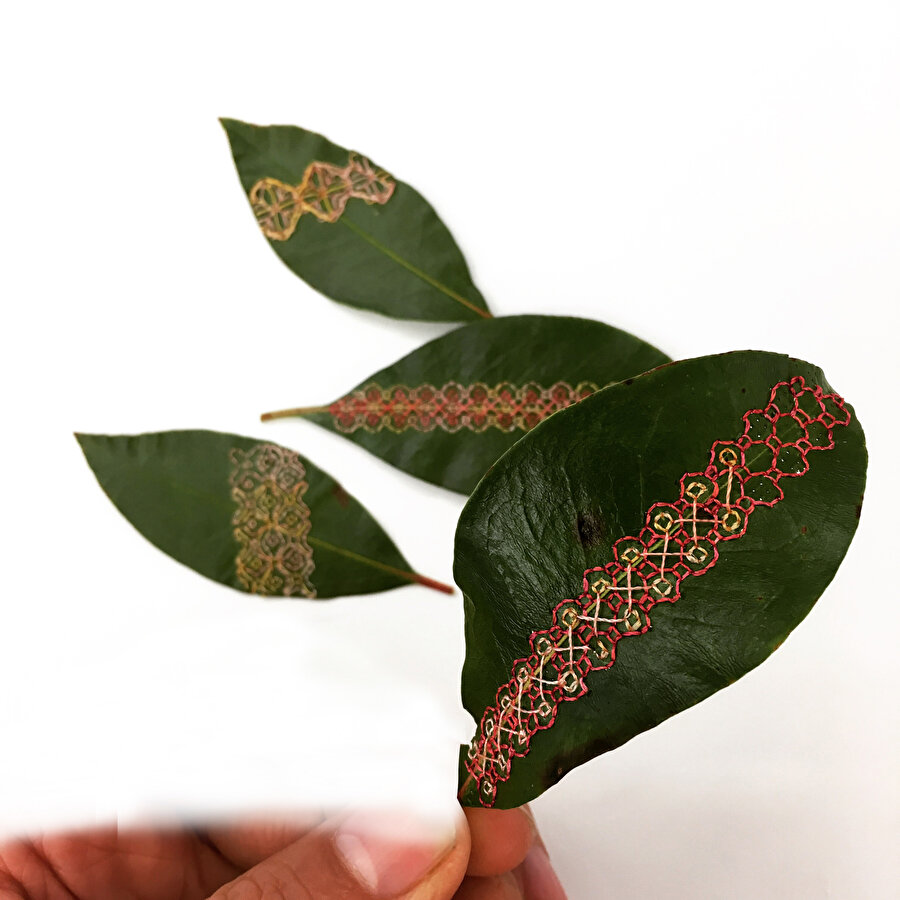 Doğal olanın sanata yansıma hâli: Yaprak Nakışı