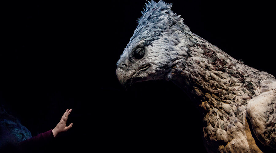 Kahraman sanki bir labirentin içinde macerada gibi. Bir çıkış var biliyor gibi.