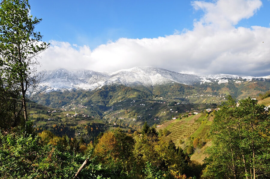 Trabzon- Şalpazarı