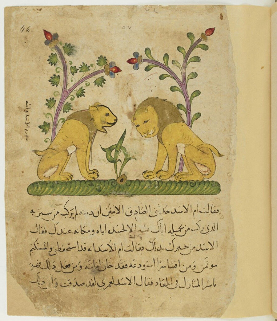Kelile ve Dimne. Arapça nüshadan bir sayfa