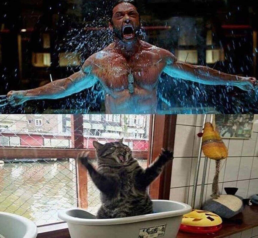 Kusura bakma Wolverinecim ama alttakinden daha çok korktuk... 