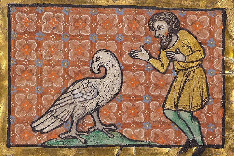 Türkiye ve dünyadan kitaplar