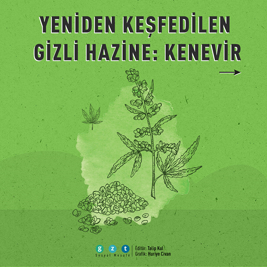 Kenevirin yıldızı yeniden parladı