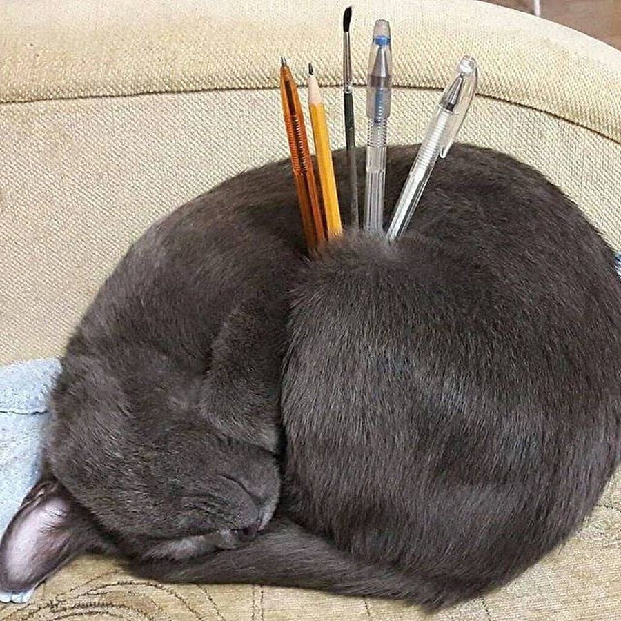 Bundan önce daha güzel bir kalemlik görülmedi ✏️