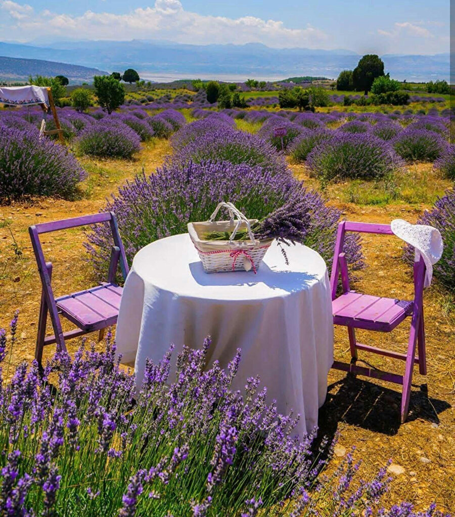 Isparta, Lavanta Köyü