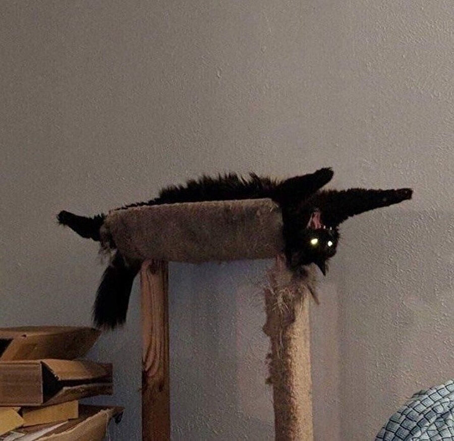 Can sıkıntısı pozisyonu bu, nerede görsem tanırım