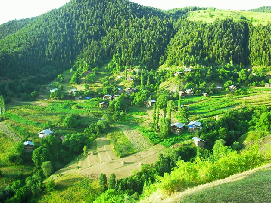 Artvin