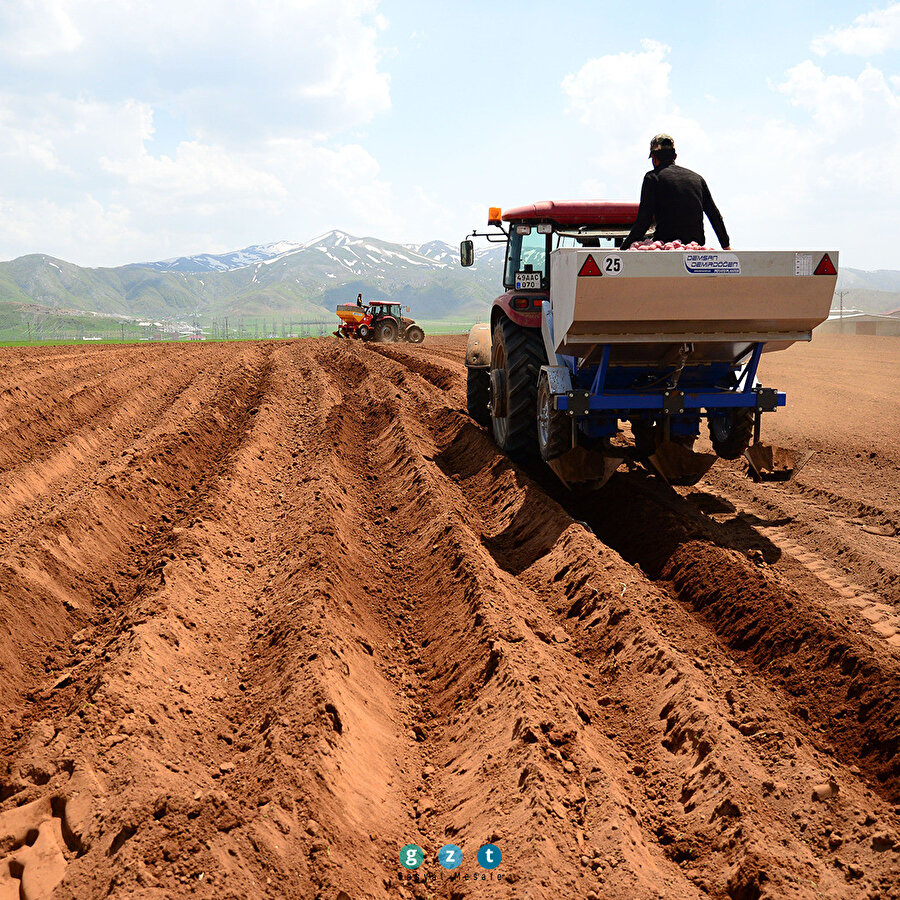 Bitlis'te sertifikalı patates tohumu ekimine başlandı 🥔