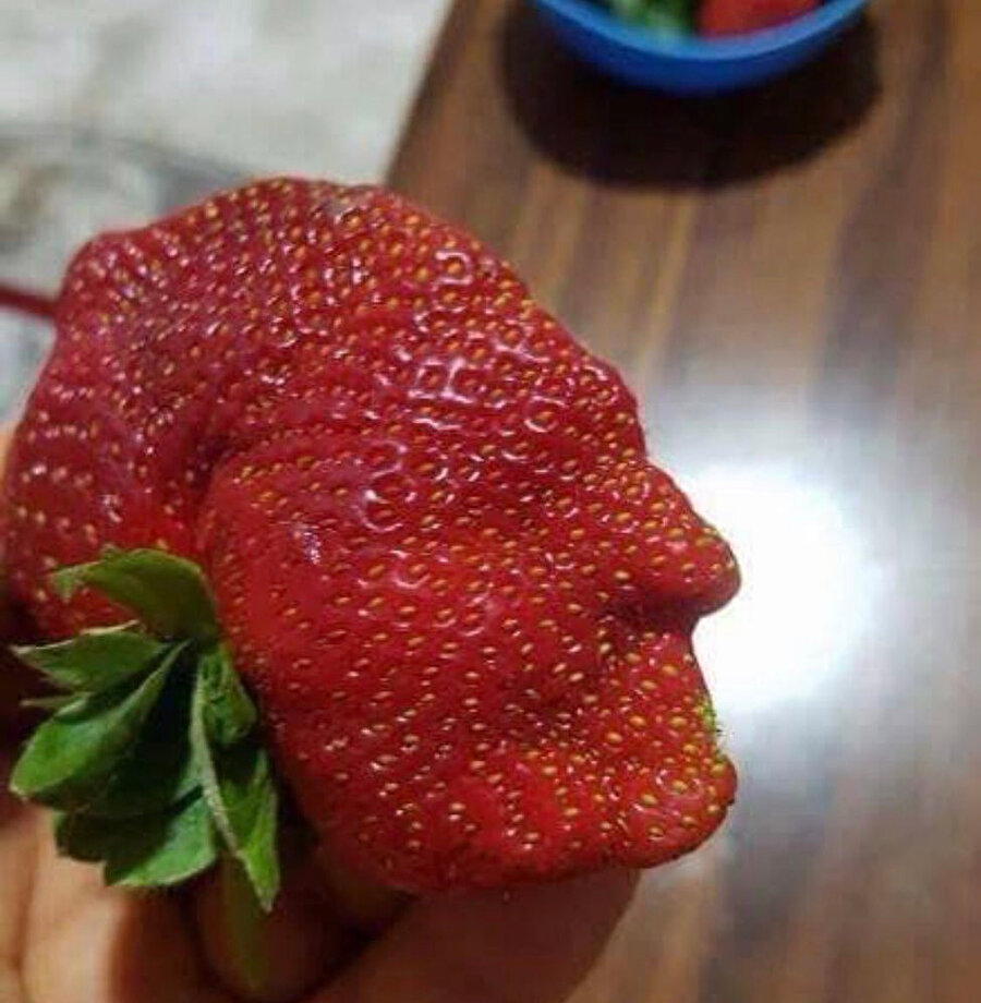 ​Tuzlu suya atsak içinden insan çıkar